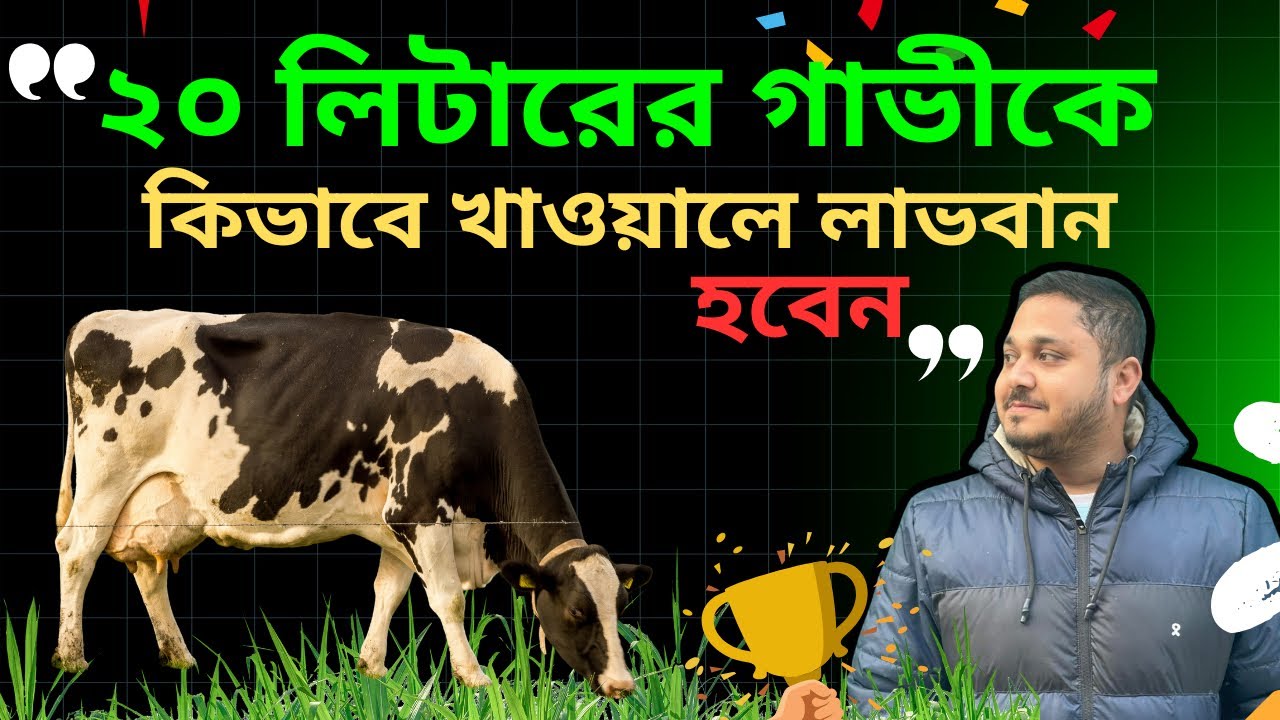 ২০ লিটারের গাভীর খাবার তৈরি| গাভীকে কি কি খাওয়াবেন|অল্প খরচে কিভাবে গাভী থেকে লাভবান হবেন| ভিড়িও-৭৪|
