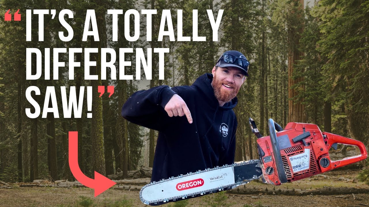 @appalachiansaw Gave My Husky 262 A New Lease On Life