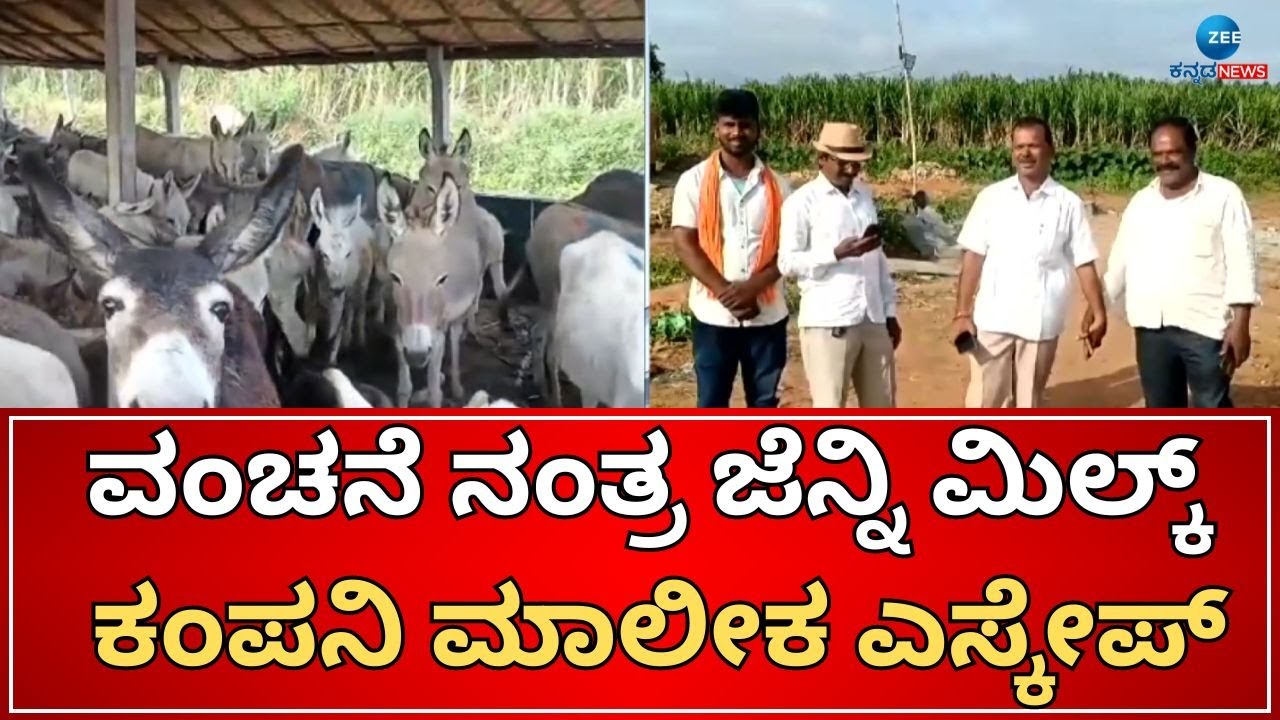 Jenny Milk | Donkey Milk Farming | ಕತ್ತೆಗಳ ಹೆಸರಲ್ಲಿ ಜನರಿಗೆ ಕೋಟಿ, ಕೋಟಿ ವಂಚನೆ ಪ್ರಕರಣ