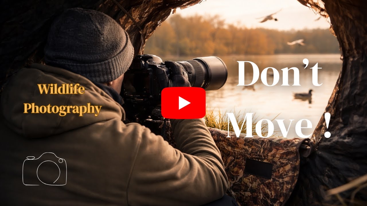 Don't move | Wildlife Photography at the Water's Edge