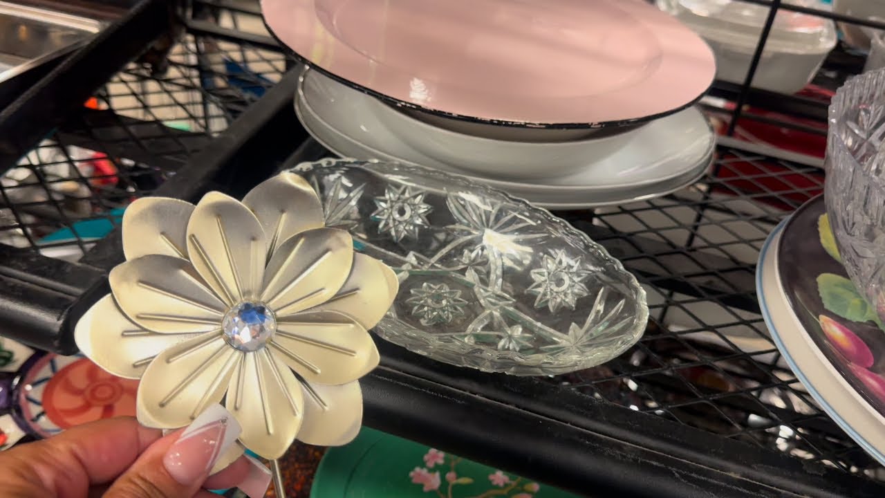 Goodwill Treasures you Don’t Want to MISS