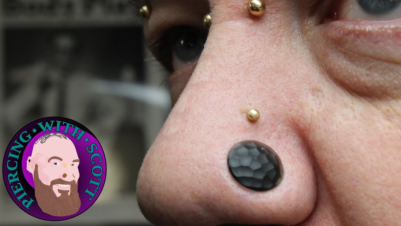 The Whole Truth - High Nostril Piercing