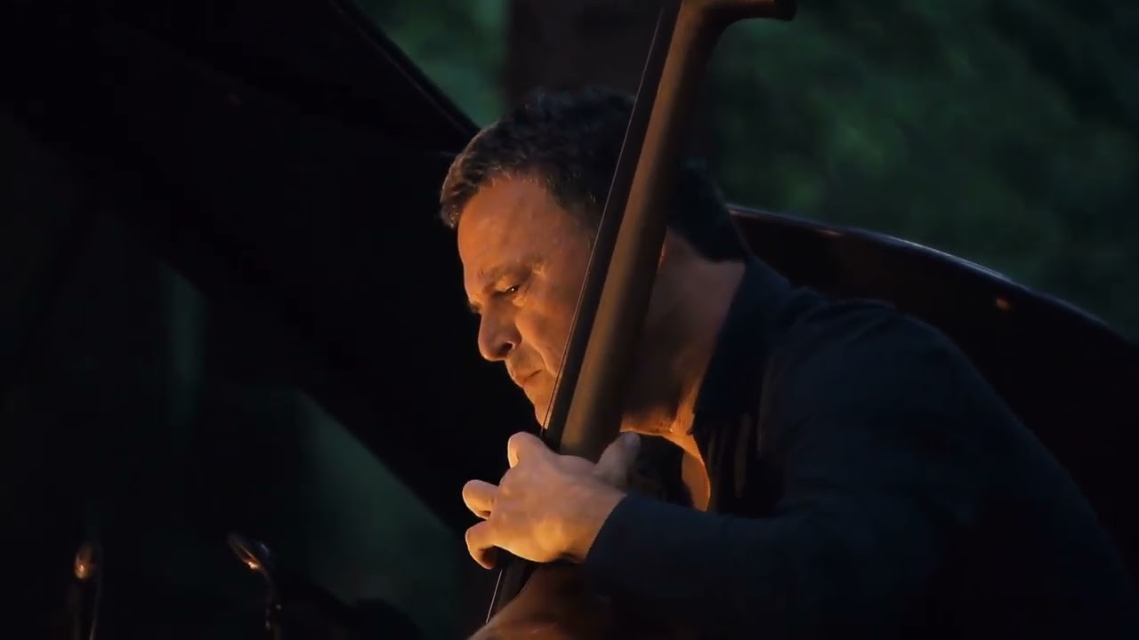 Robert Balzar Trio - Night (R.Balzar)