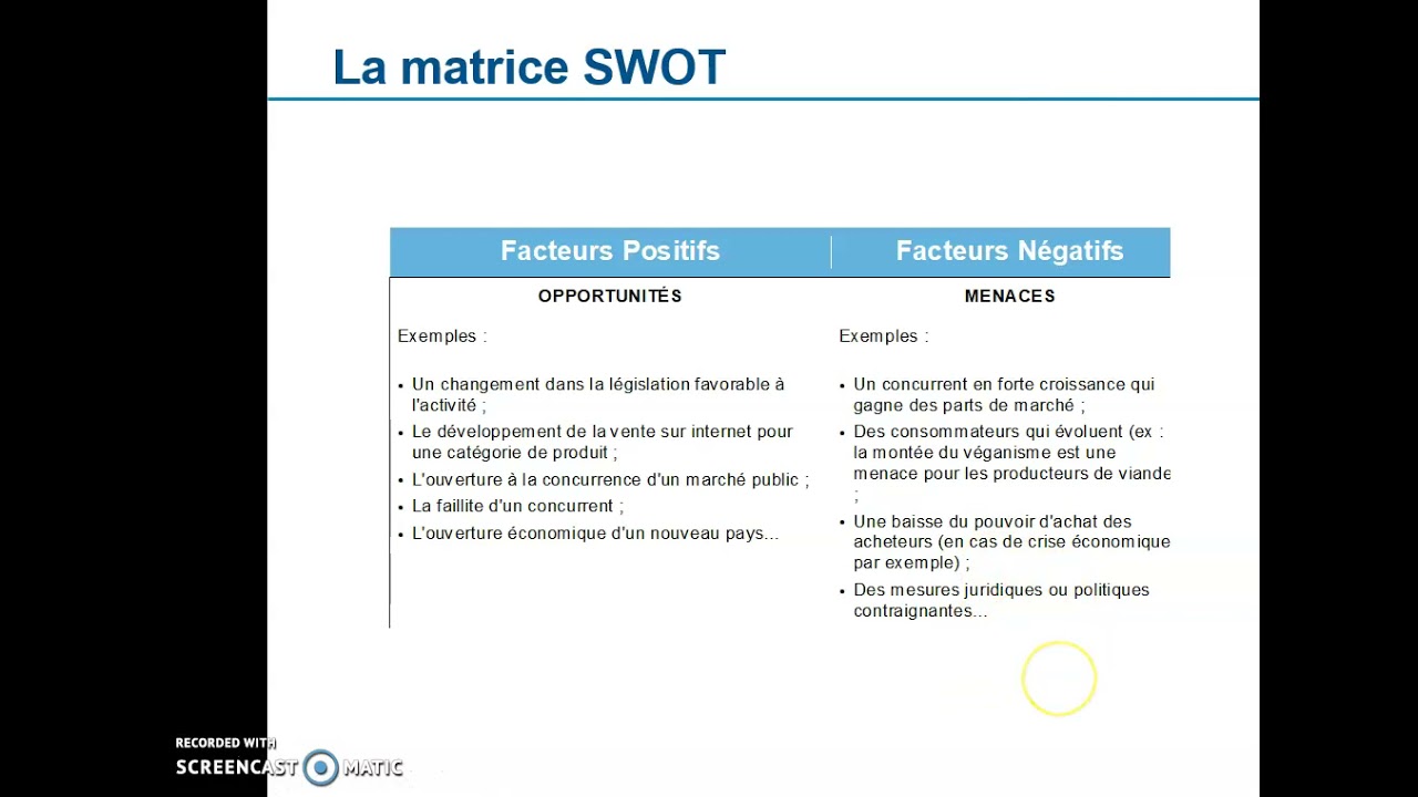 l'analyse de portefeuille d'activité partie 03La matrice SWOT