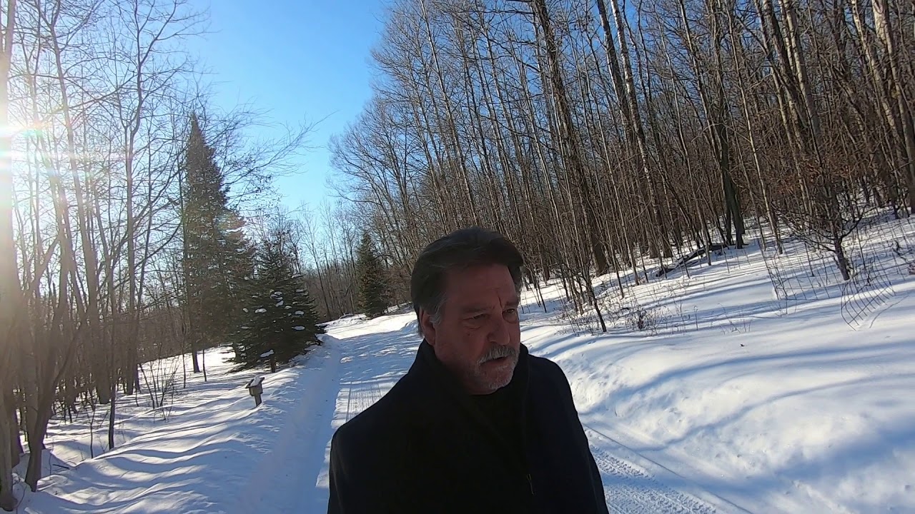 LATE WINTER WALK