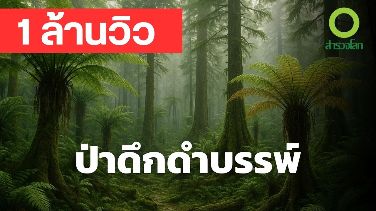 ป่าดึกดำบรรพ์ - ผจญภัยในป่าโบราณนิวกินี เผชิญหน้าชนเผ่าลึกลับ | สารคดี สำรวจโลก