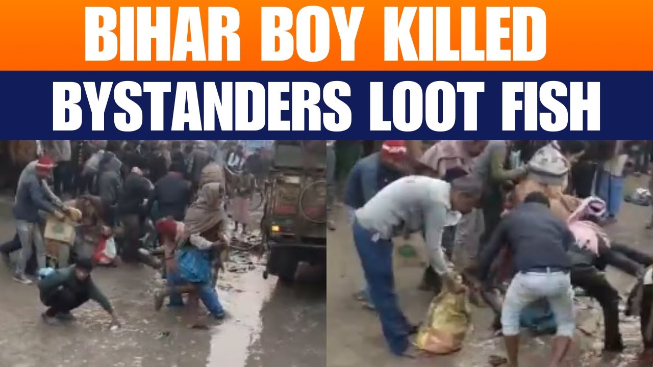 Bihar Tragedy: Boy Killed, Bystanders Loot Fish at Accident Scene | News9