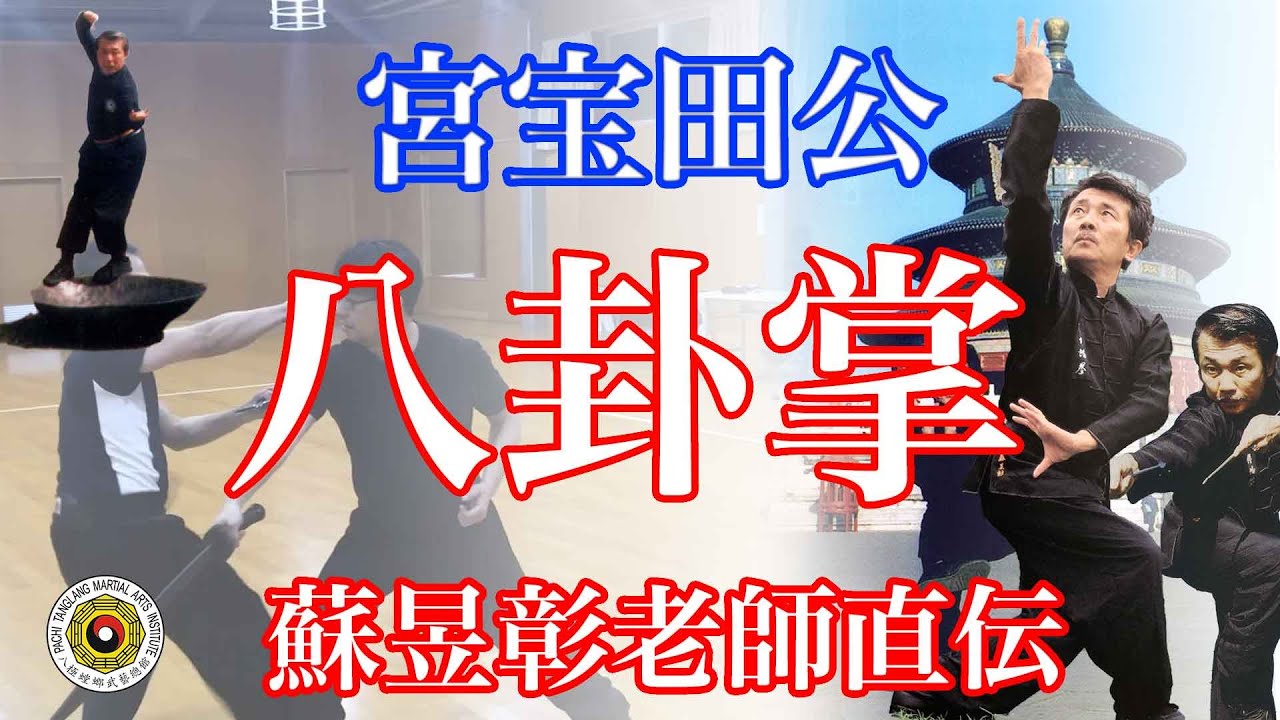 これが我々の八卦掌です。八極螳螂武藝總舘日本分舘　pakua, Gong Baotian Style, Baguazhang