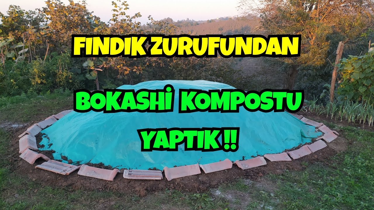 BOKASHİ KOMPOSTU Nasıl Yapılır ? Fındık Zurufu İle Kompost Yaptık‼️#composting
