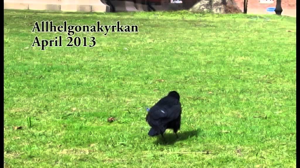 Råkornas Lund