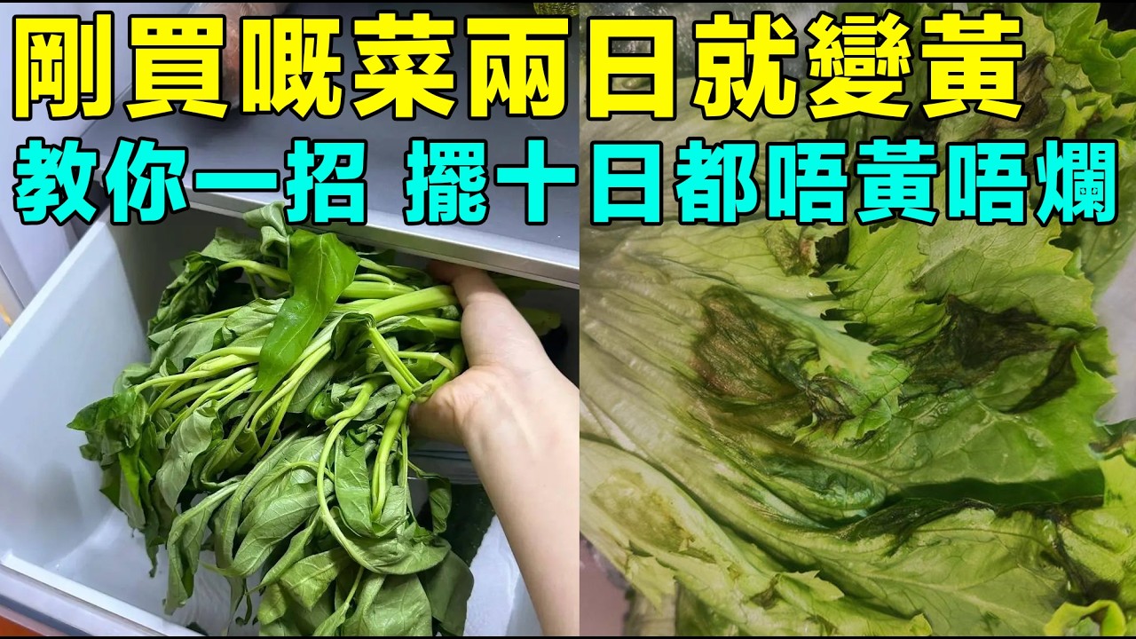 剛買嘅菜，擺入雪櫃兩日就爛咗？9成人都做錯嘅關鍵一步，唔怪得之嘥晒啲錢啦。#蔬菜保存 #延长保鲜期 #厨房纸 #保鲜盒 #雪柜 #冰箱收纳 #芫荽保存 #葱保存