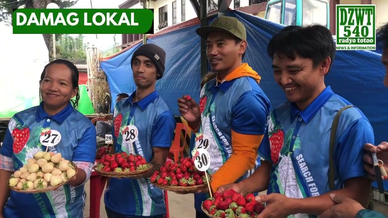 LT STRAWBERRY FESTIVAL: MGA FARMERS, KINILALA SA SEARCH FOR THE SWEETEST AND HEAVIEST STRAWBERRY