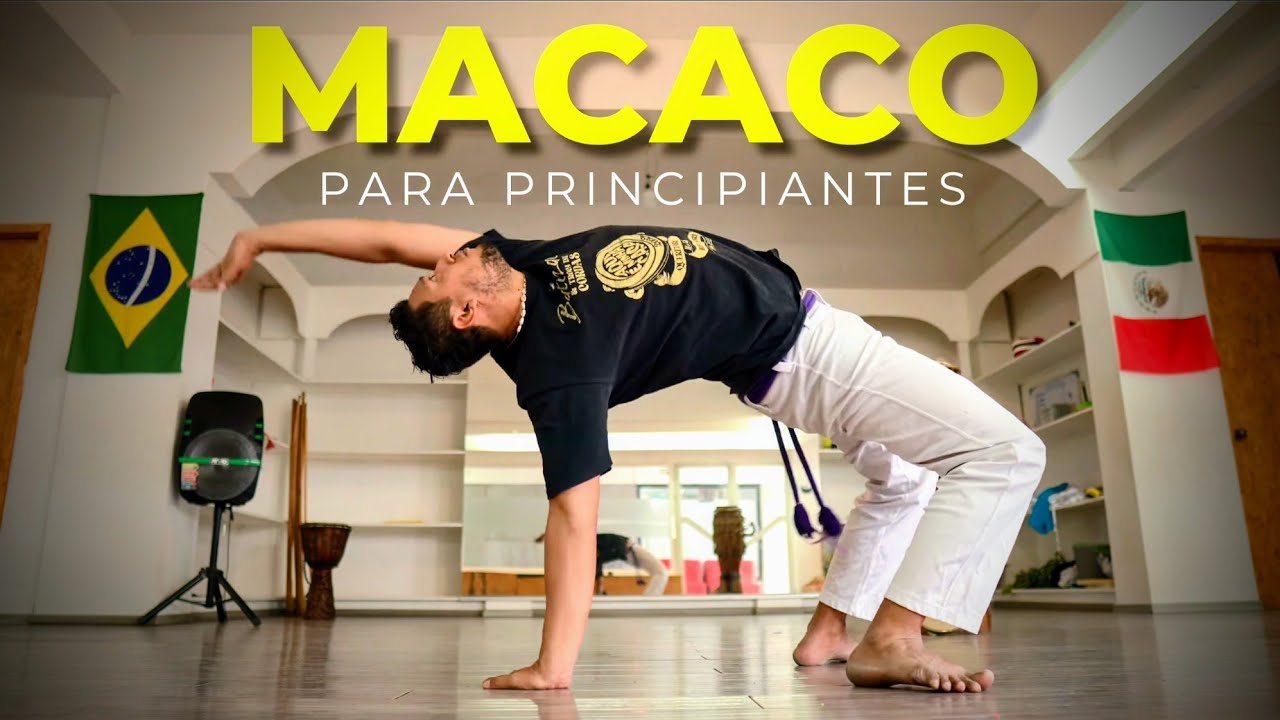 Секрет более быстрого изучения MACACO