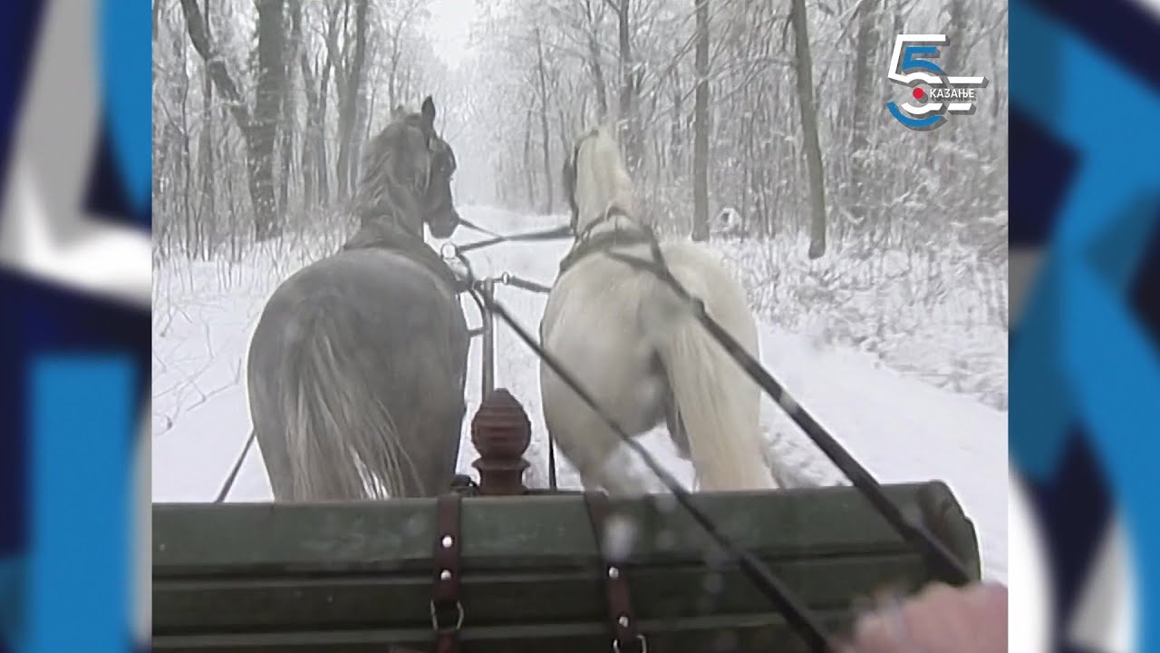 Avantura među Sremcima 2. deo