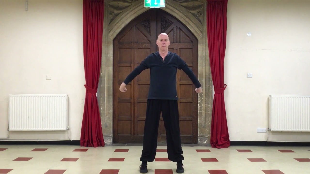 Dayan Wild Goose Qi Gong first 64 set Video 1