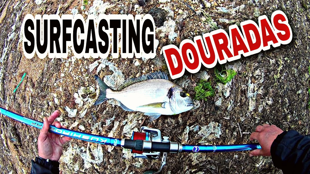 SURFCASTING DOURADAS