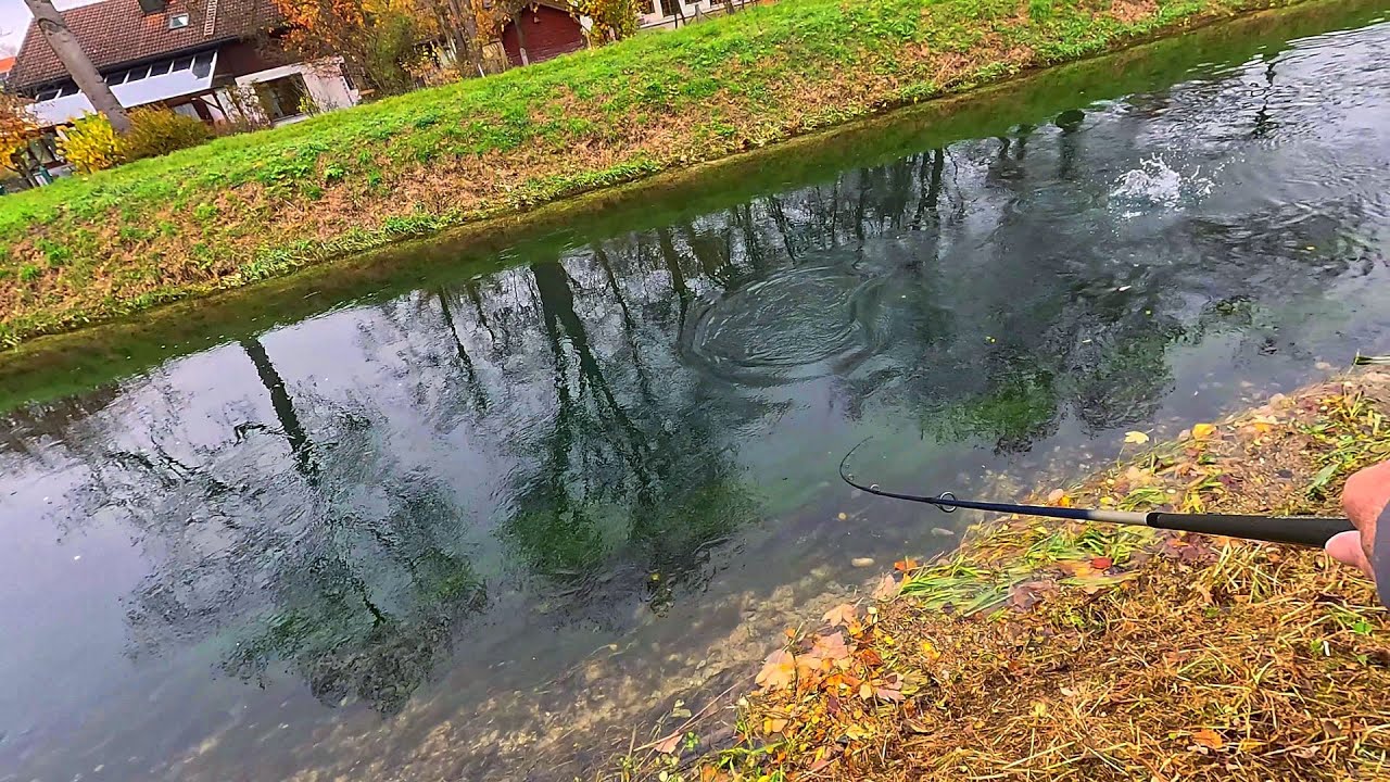 Forellenangeln am Kanal | fange ich diesmal mein Zielfisch