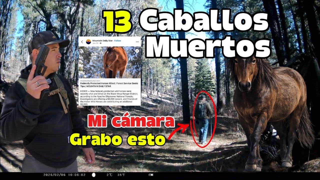 MI CÁMARA EN EL BOSQUE GRABÓ A ESTA PERSONA… (13 CABALLOS MUERTOS)