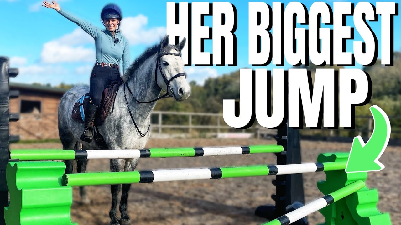 MY FRIEND JUMPS MY PONY