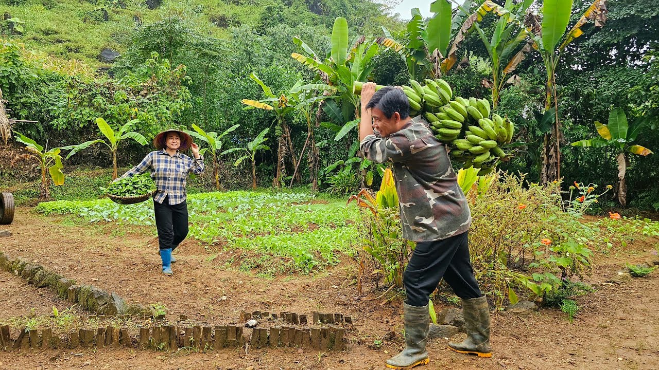 Bountiful Harvest:The Joy of Harvesting Vegetables from the Garden and How to Ripen Bananas Quickly.