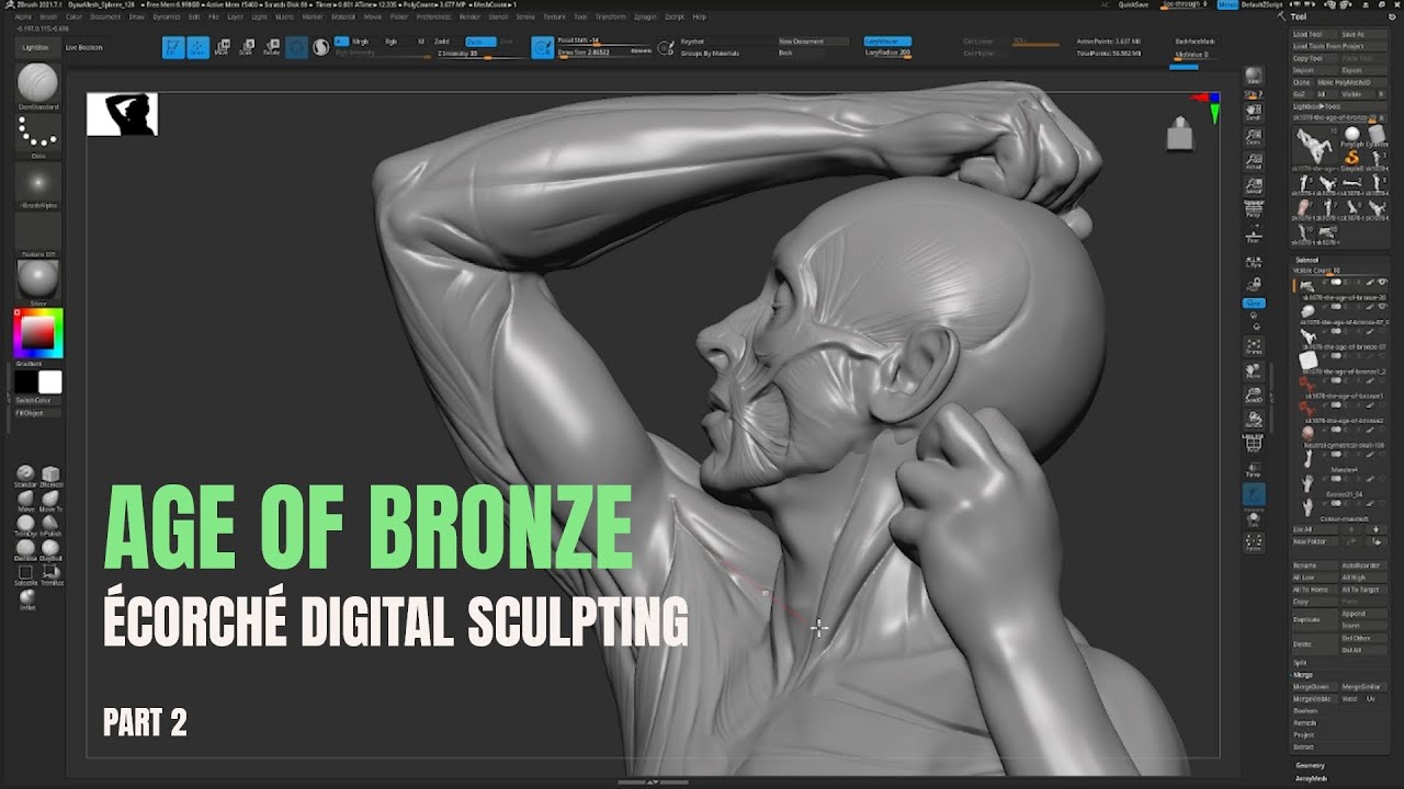 Age of Bronze Écorché - Digital sculpting Part 2 (Arms) | by Uldis Zarins