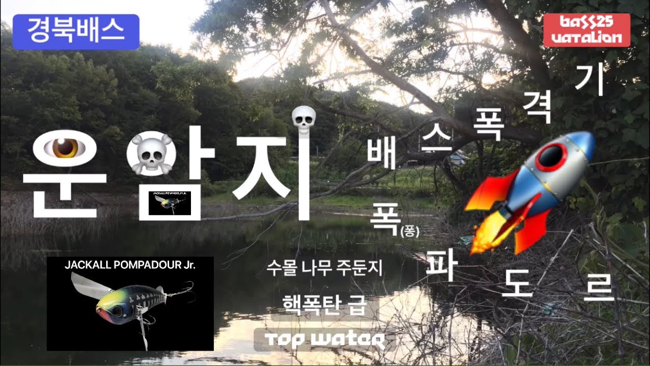 [4K] 배스낚시/쉽고 재미있는 배스 폭격기 자칼 퐁파도르/운암지/수몰 나무 주둔지/Bass Fishing/(BASS25 VATALION)