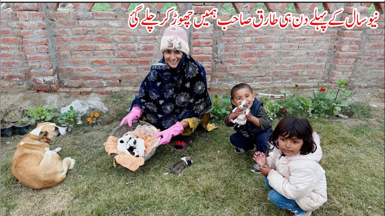 New Saal Ke Pehle Hi Din Tariq Sb Hamain Chhor Kar Chale Gai I Happy Joint Family
