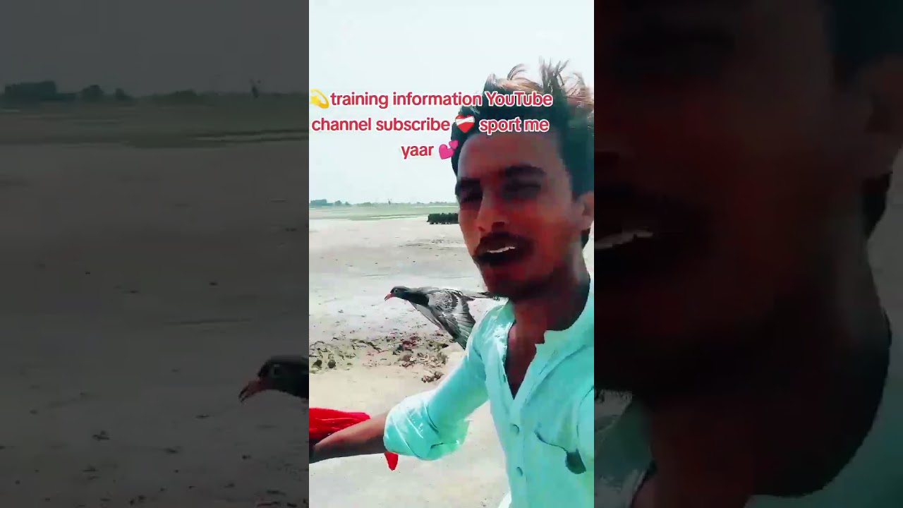 #pigeon bike ke sath training video Ali farzad kabutar care please YouTube channel subscribe#💕