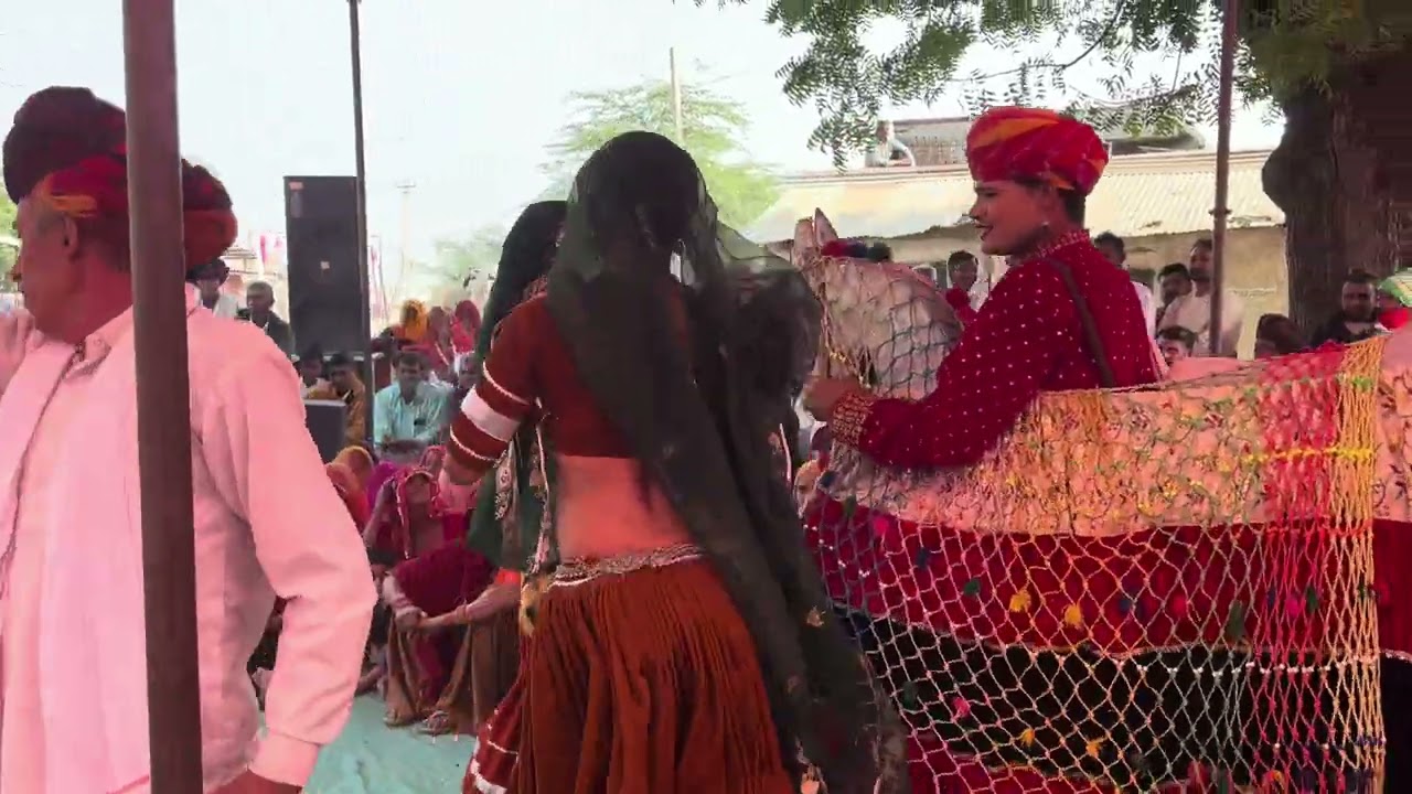 तेजाजी महाराज के अलगोजा गीत पर घोड़ी का सुपरहिट नृत्य 🫨🫨