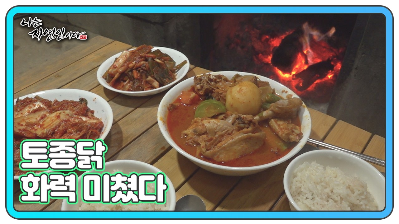 해남식 김치와 토종닭볶음탕의 조합 MBN 260223 방송