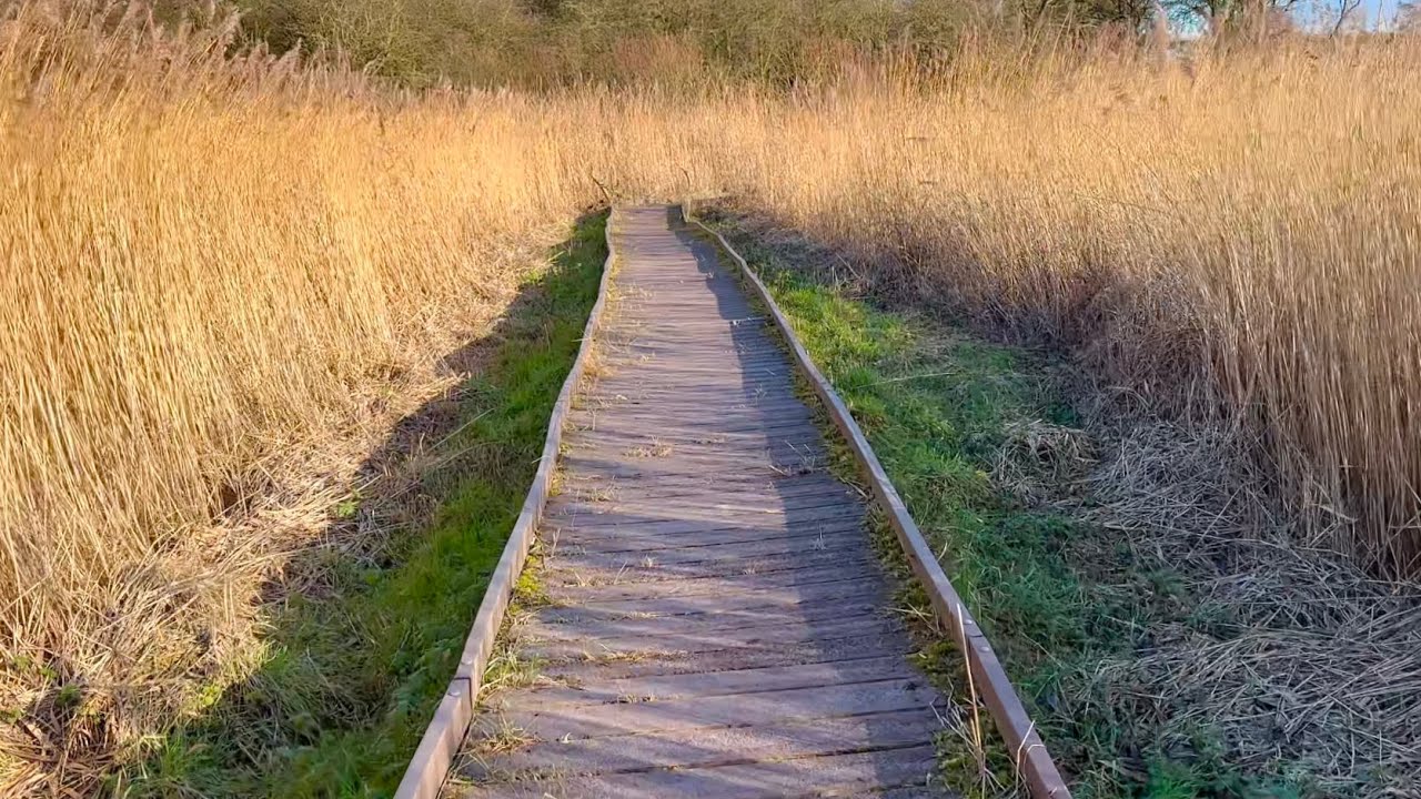 Relaxing walk at Far Ings nature reserve