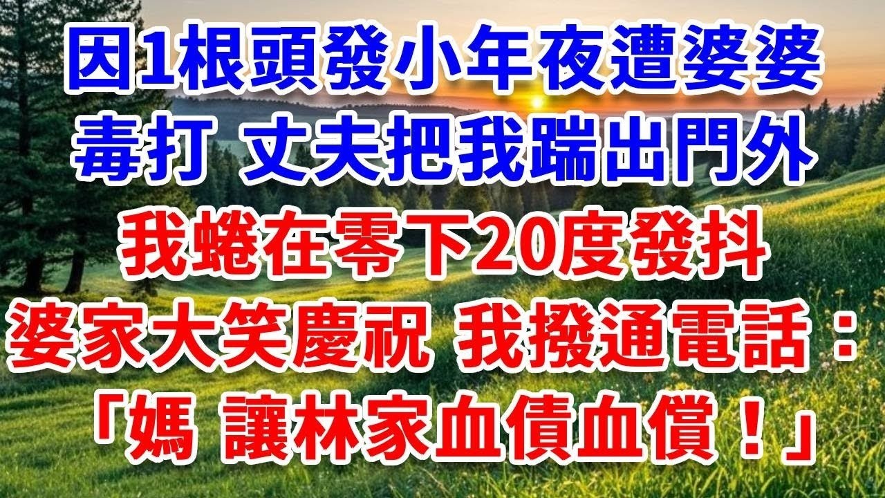 婆婆生日宴我被當眾暴打，丈夫為給婆婆出氣踹我2腳：再頂嘴 滾出周家！我沒鬧 當眾離婚凈身出戶，反手撥通加密通話：三哥，帶人過來！別手軟！#詩涵講故事#為人處世#生活經驗#情感故事#晚年哲理#說故事