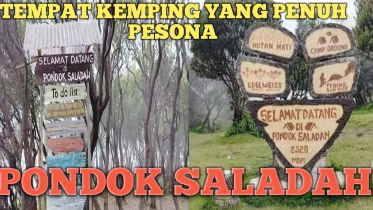 #review #solocamping  Jalur, Menuju Pondok Saladah, #GUNUNG PAPANDAYAN