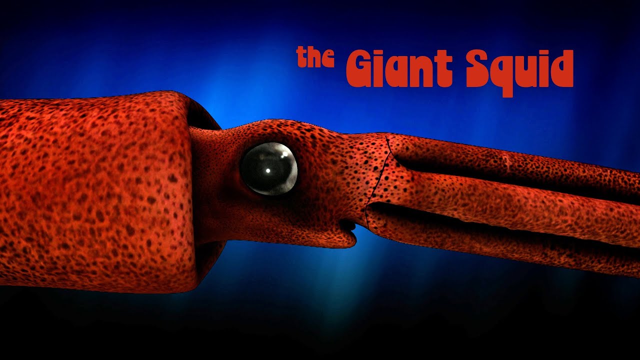 Inside Nature’s Giants – Giant Squid