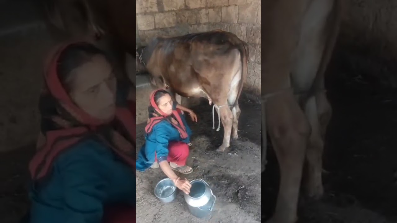 યોગી ફાર્મ શ્રીનાથગઢ..