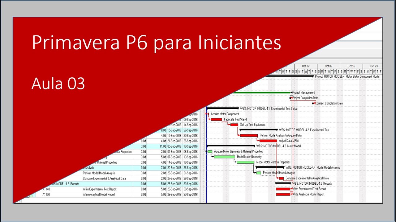 Curso Primavera P6 para Iniciantes Aula 03 #primaverap6