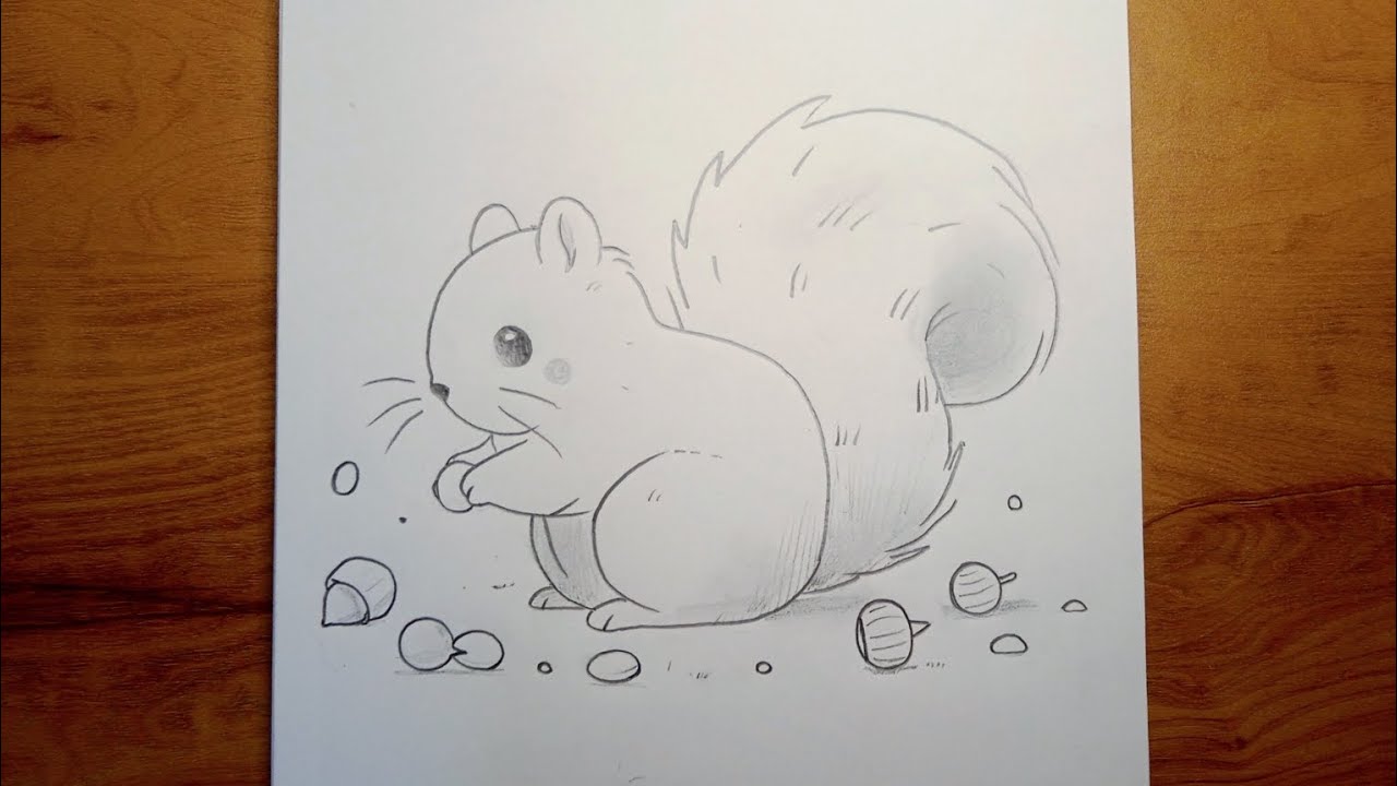 Squirrel Pencil Drawing Tutorial | Squirrel Animal Sketch Step by Step Drawing