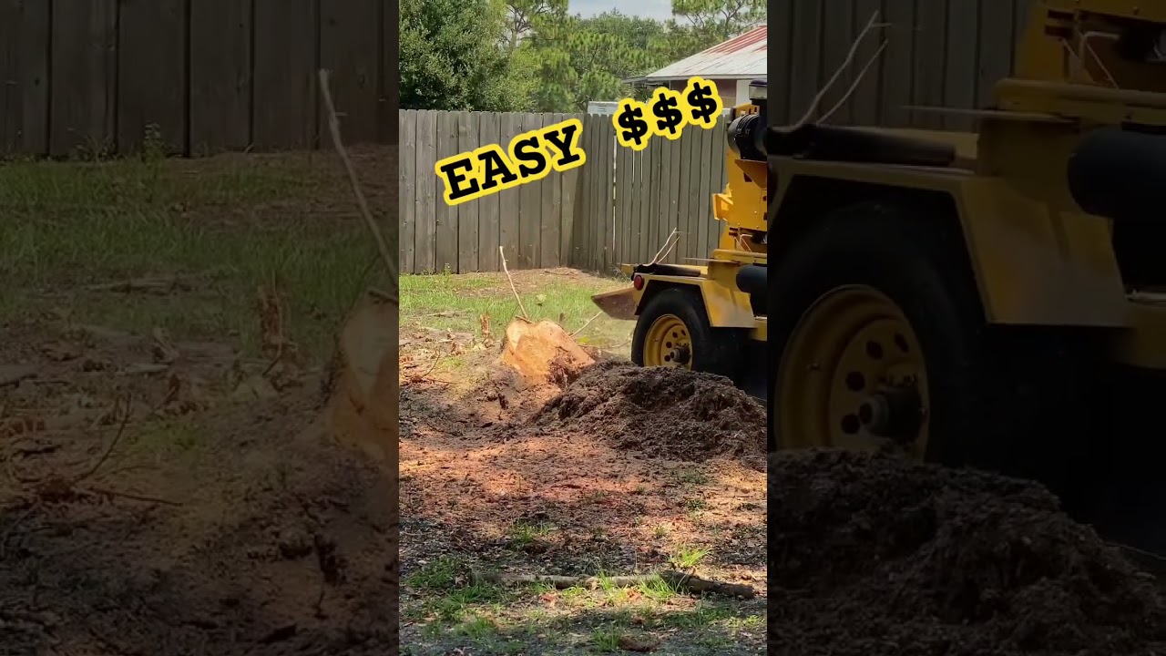 🤑EASY MONEY - STUMP GRINDING VERMEER - 123 GONE #hustle#work#easy#money