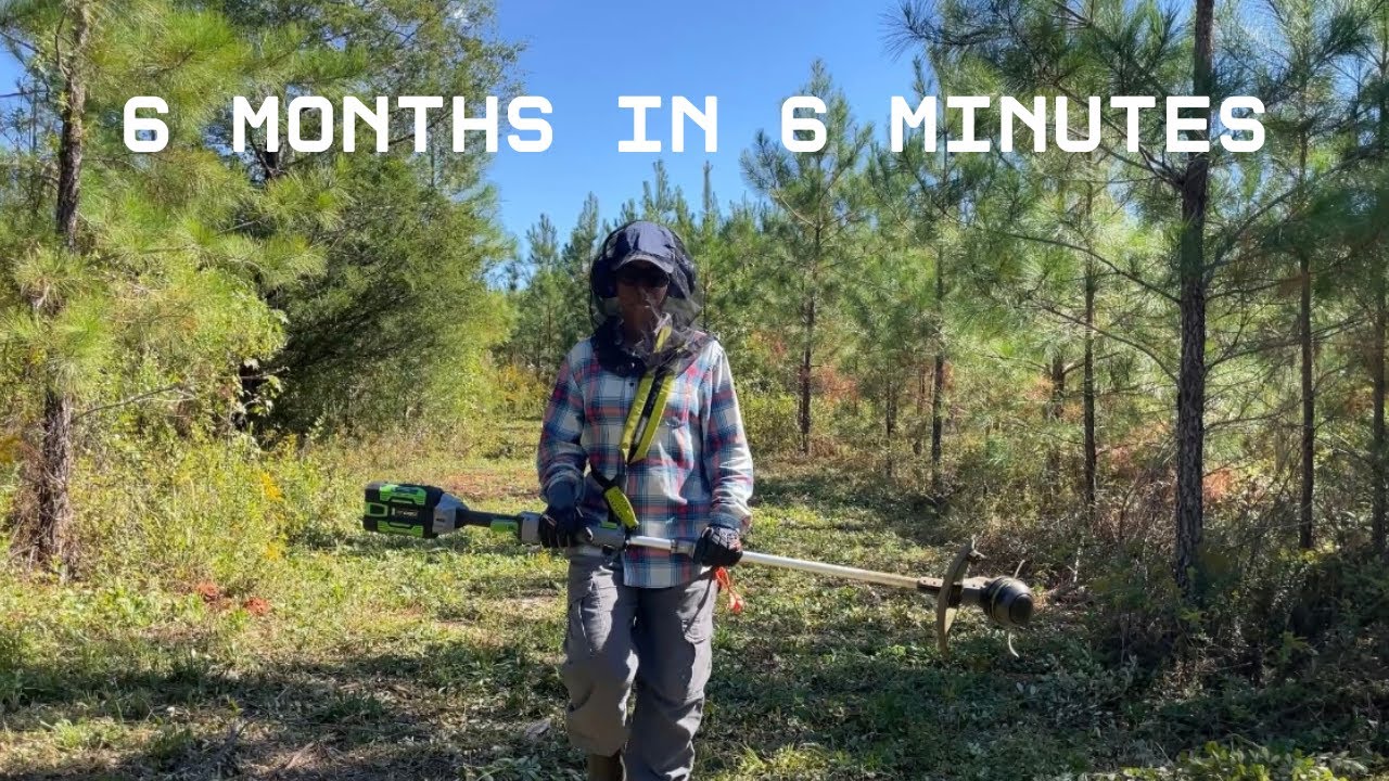 Building My New Farm From Scratch