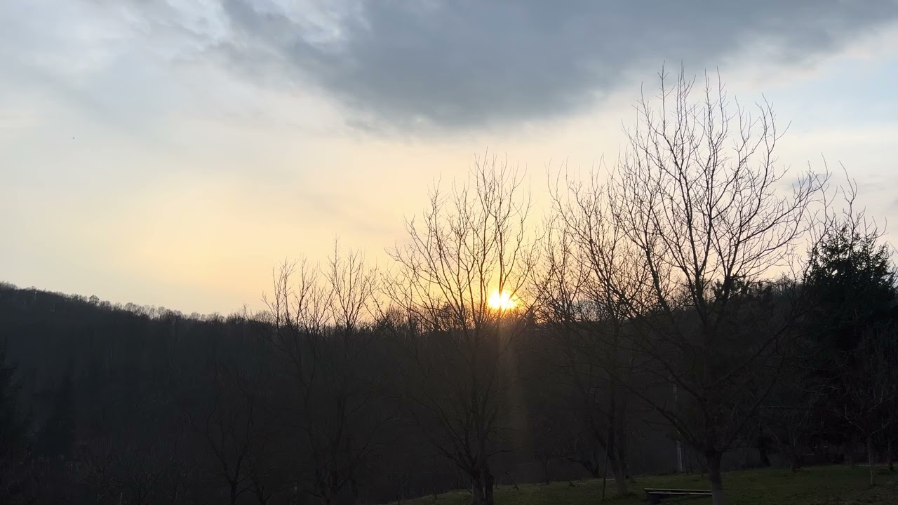 Carpathian Sunset Behind Trees – Relaxing Birds Singing Sounds