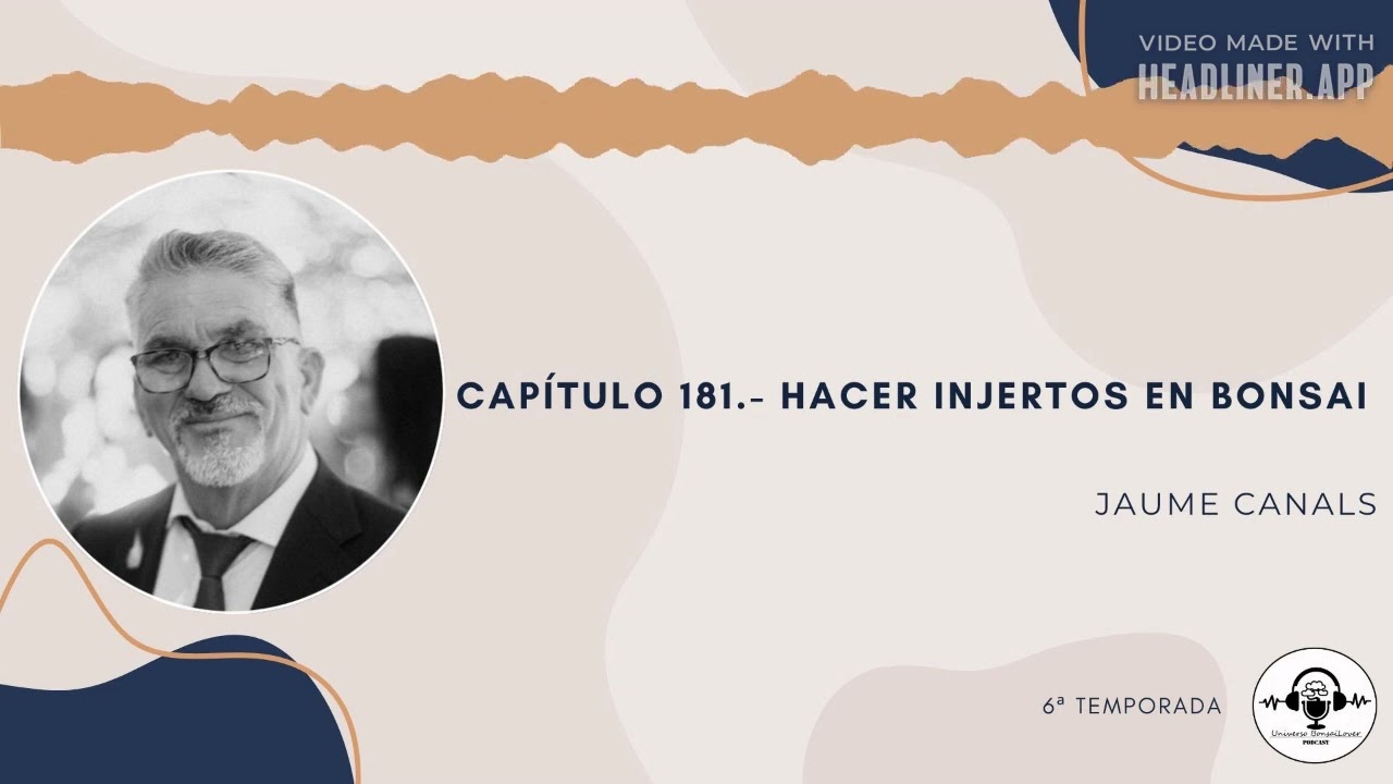 Captulo 181.- Hacer injertos en bonsai. Jaume Canals
