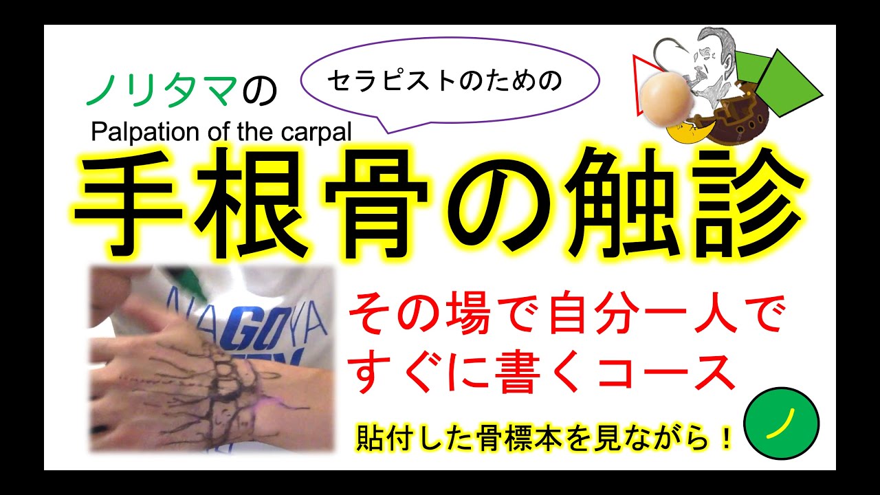 手根骨の触診：Palpation of the carpal bone
