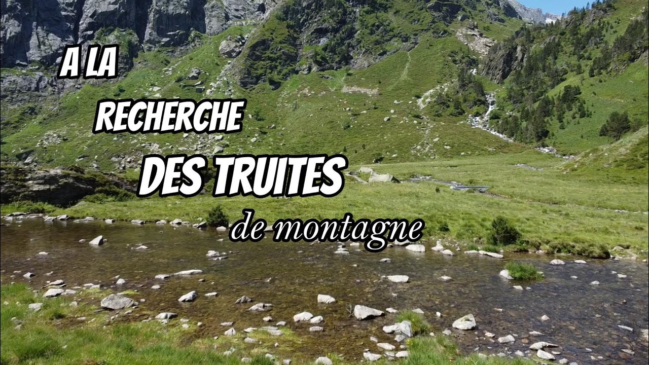 Je pêche DEUX POISSONS INCROYABLES en ruisseaux de MONTAGNE dans les PYRENEES - à la tournante !