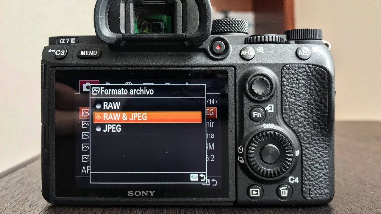Por Qué Uso RAW+JPG En Vez De Sólo RAW O Sólo JPG (En Mi Cámara Sony A7 III)