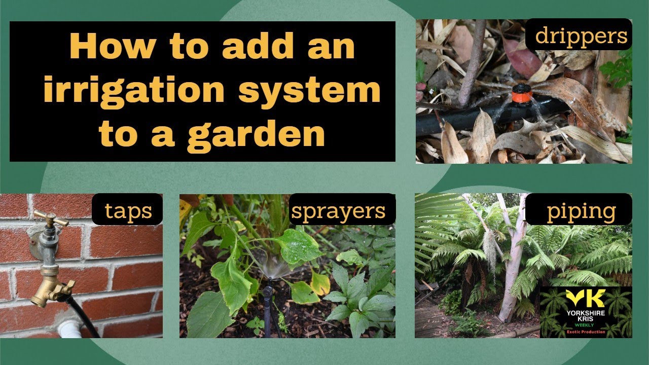 How to set up a watering system for your garden