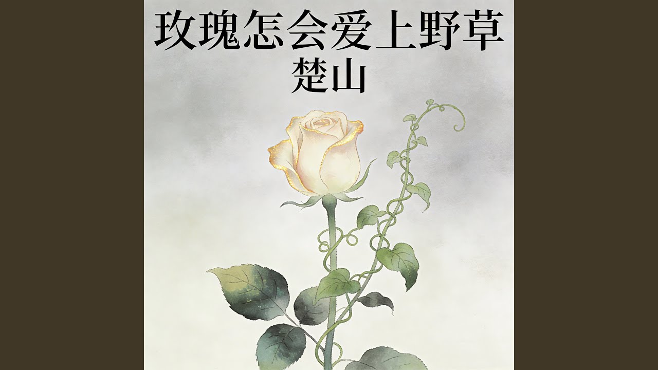 玫瑰怎会爱上野草