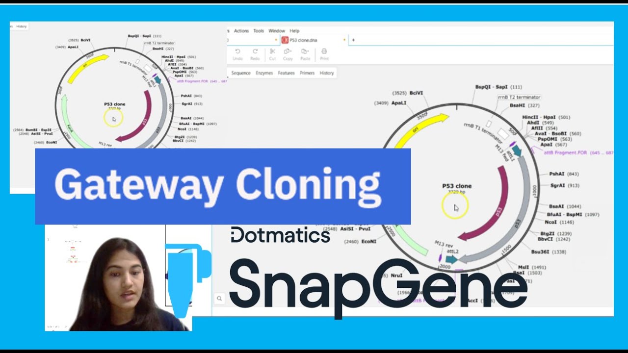 Gateway Cloning- Snapgene | Tutorial - How to design your own plasmid - using snapgene tool |