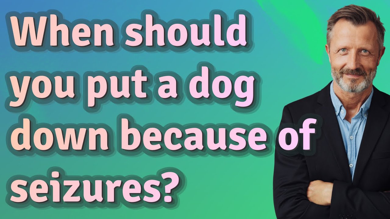 When should you put a dog down because of seizures?