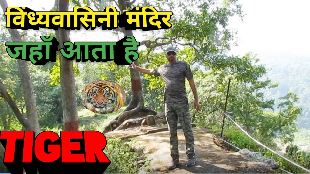 विंध्यवासिनी मंदिर ऋषिकेश | VINDHYA VASINI TEMPLE NEAR RISHIKESH | Vindhyawasini Trek Rajaji Park