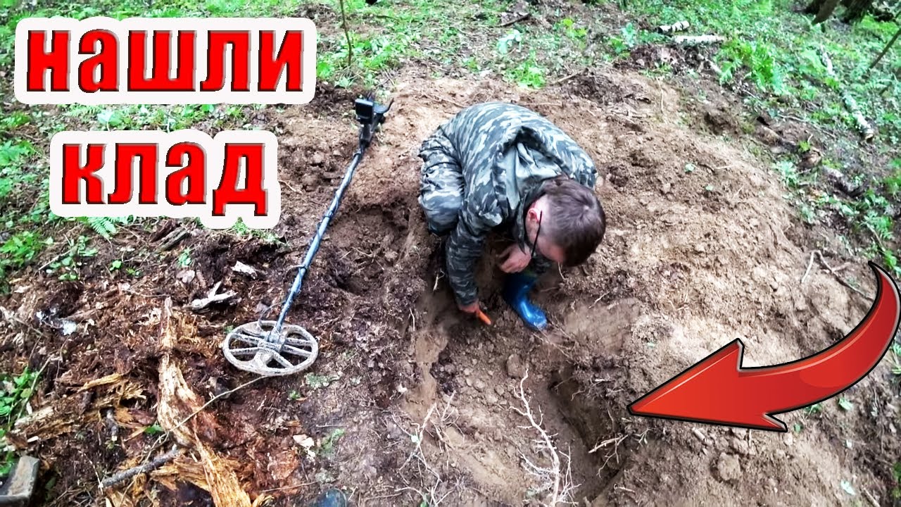 Нашли клад серебряных монет под елкой. Лесной коп. Кладоискатель Руся.